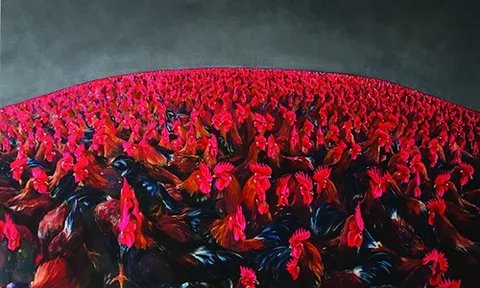 CHÚNG TA ĐANG NGHỊCH GÌ ?