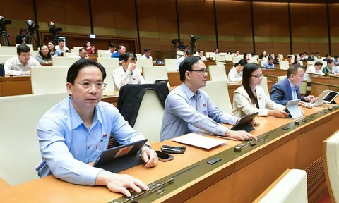 Hồi hương cổ vật bằng ngân sách